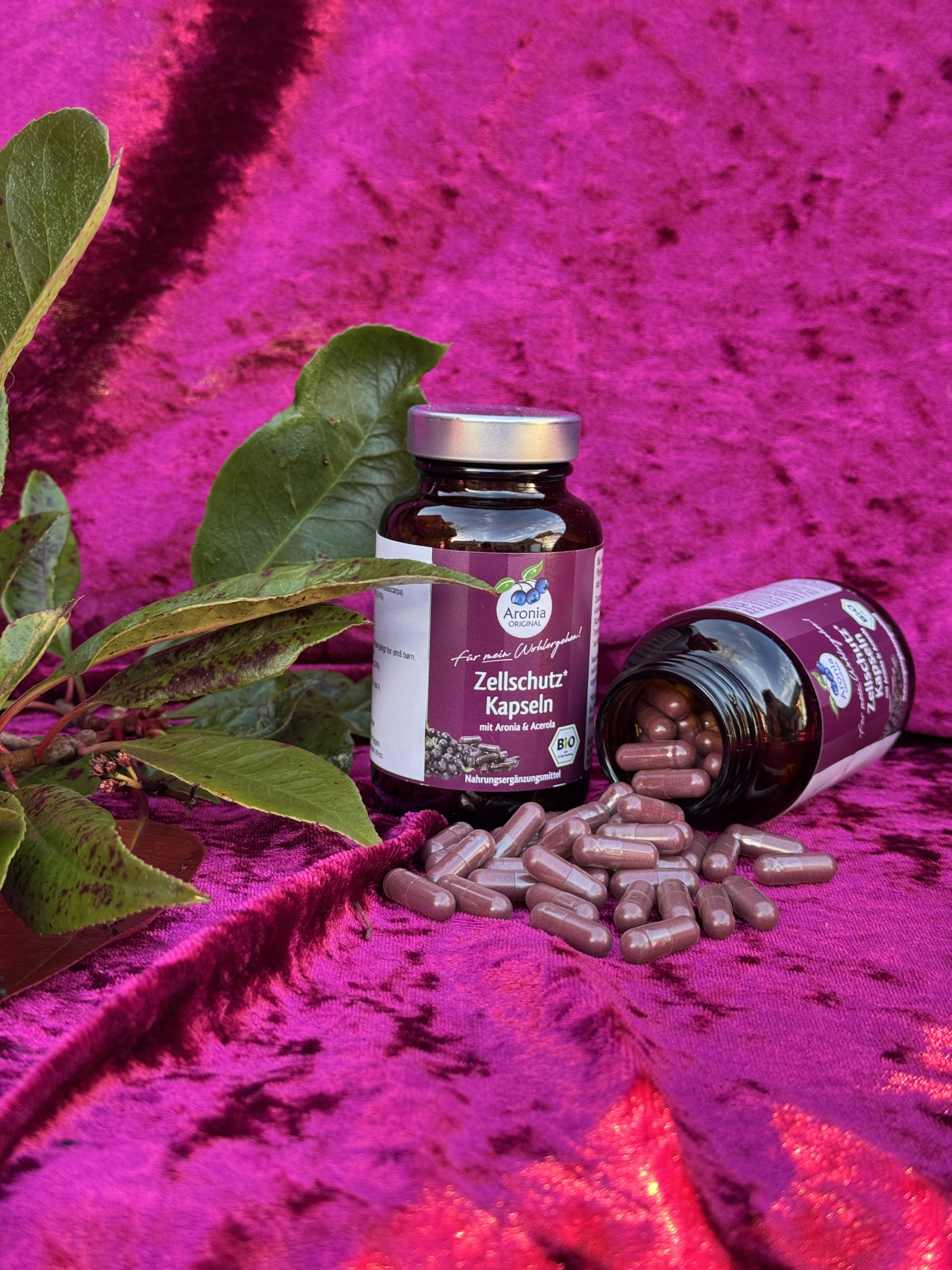 Aronia kapsler 120 stk.